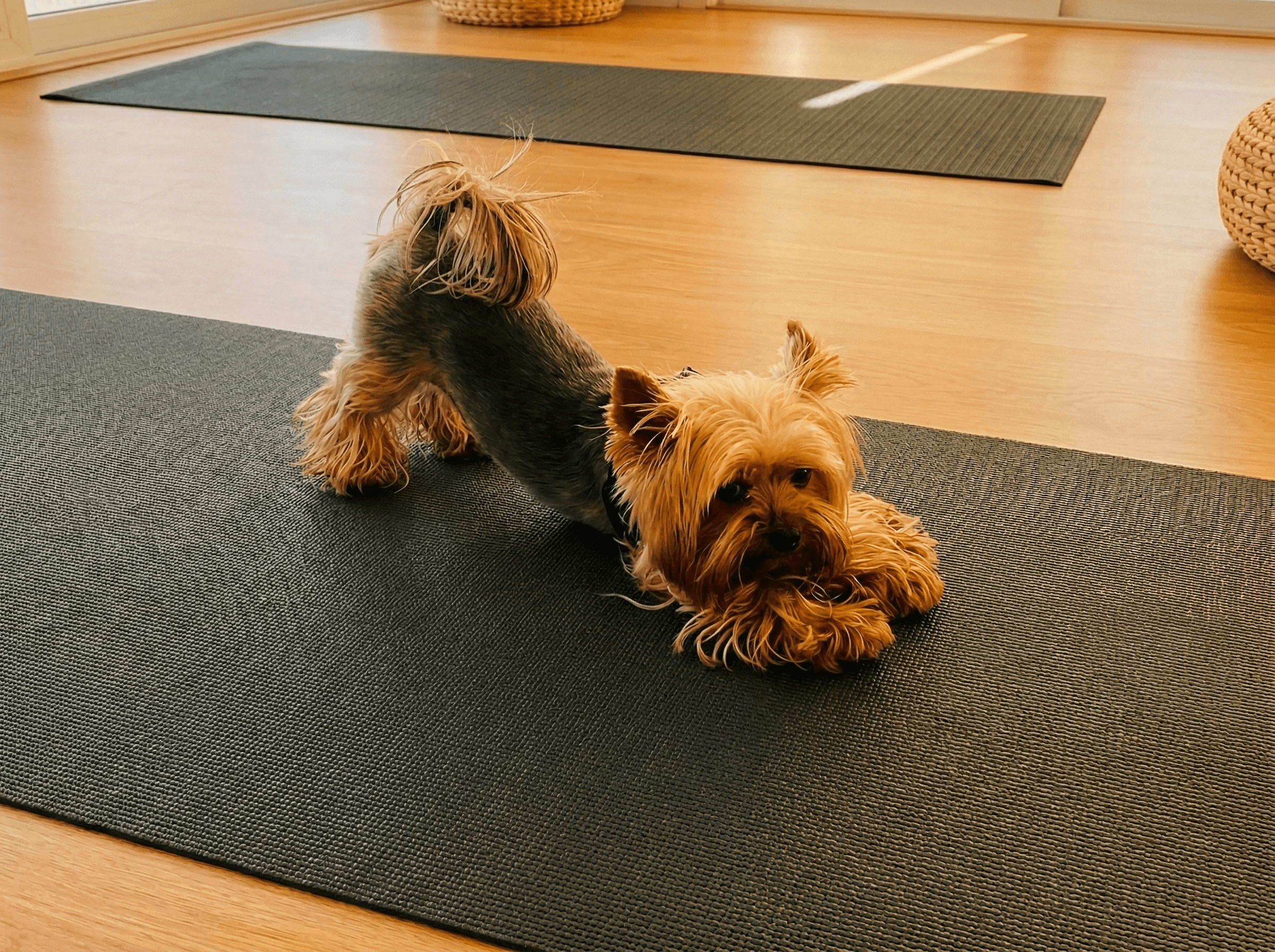 Studio space and welcoming details